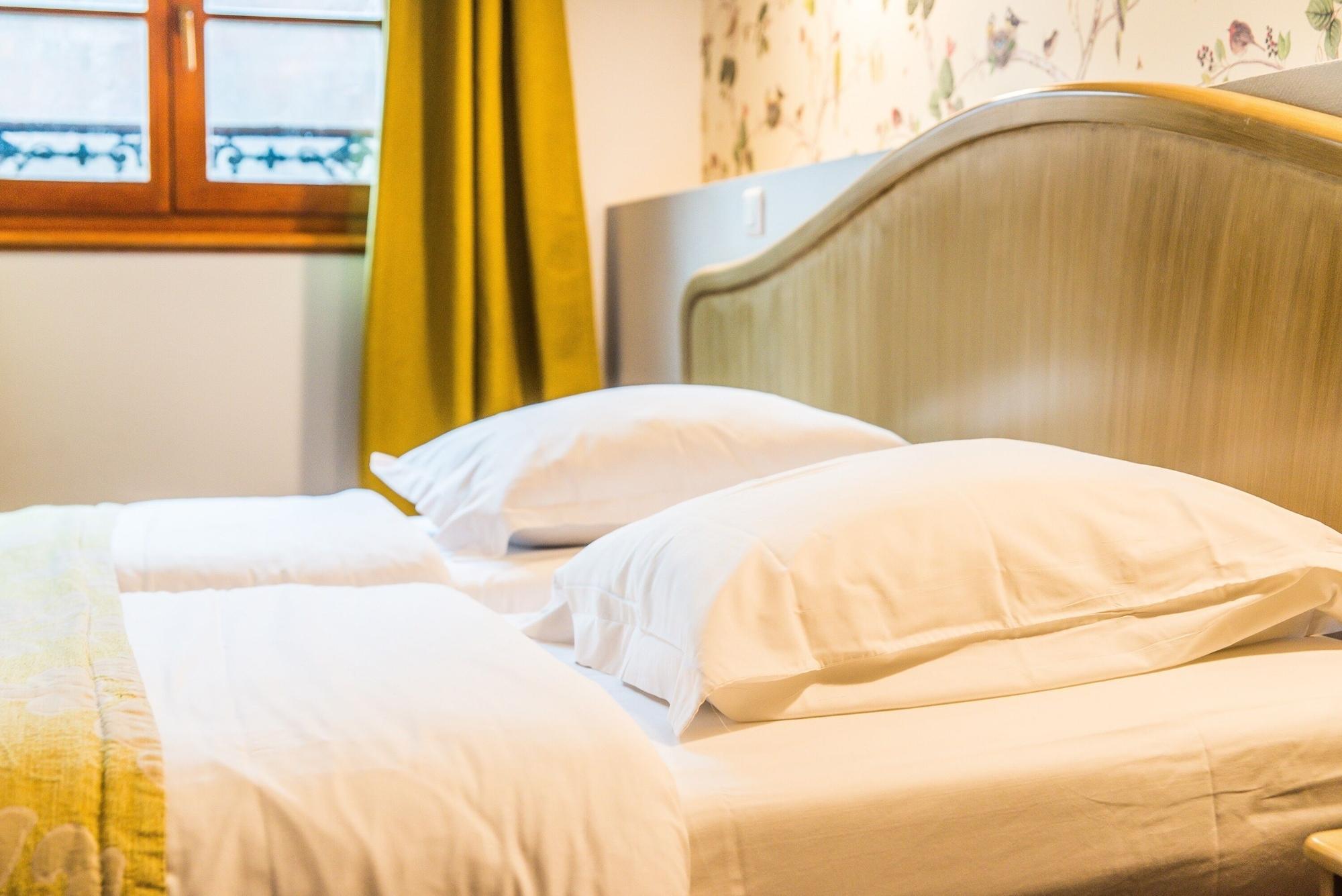Hotel Au Lion ريبوفيل المظهر الخارجي الصورة